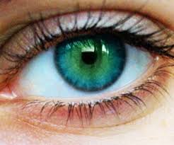 Yeşil Göz Makyajı Nasıl Yapılmalı?