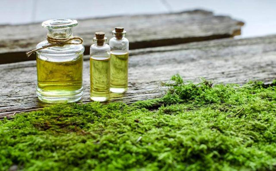 Selülitleri Gideren Yosun Maskesi