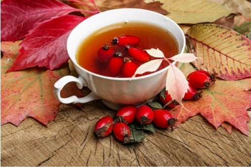 Kuşburnu Çayının Faydaları ve Kullanım Alanları