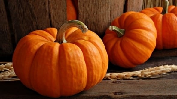 Balkabağının Cilde İnanılmaz Faydaları Ve Cildinize Peeling Yapacak Çok Etkili Maske Tarifi