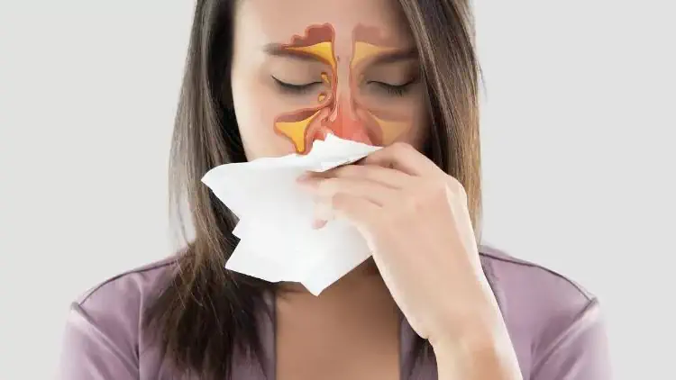 Sinüzite Ne iyi Gelir?